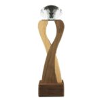 Wooden Crystal Trophy